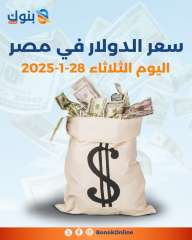 سعر الدولار في مصر اليوم الثلاثاء 28-1-2025